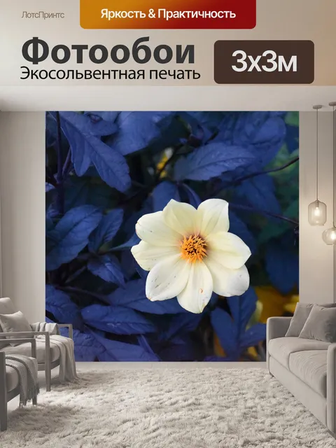 Фотообои Цветы