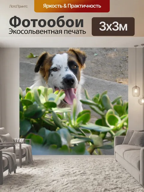 Фотообои Животные