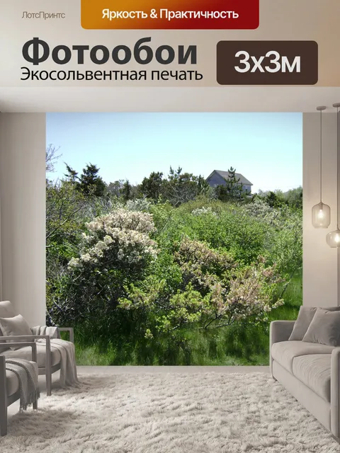 Фотообои Флора моря