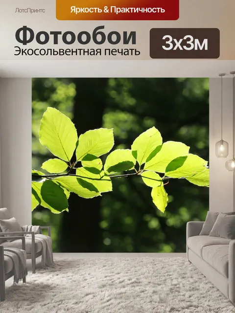 Фотообои Листья