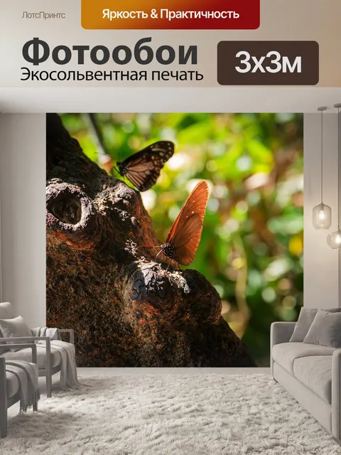 Фотообои Бабочка