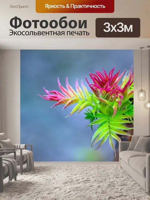 Фотообои Листья