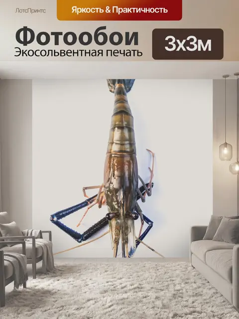 Фотообои Свежие приготовленные креветки фон мореп