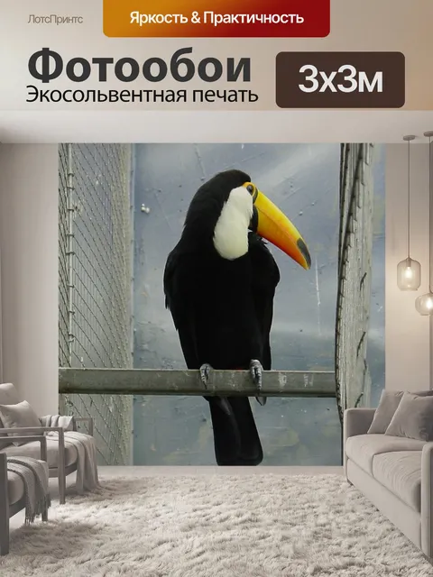 Фотообои Птица