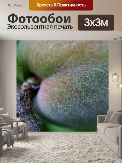 Фотообои Персик