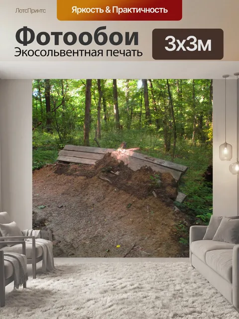 Фотообои Дорожка