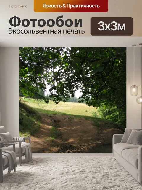 Фотообои Пешеходная дорожка