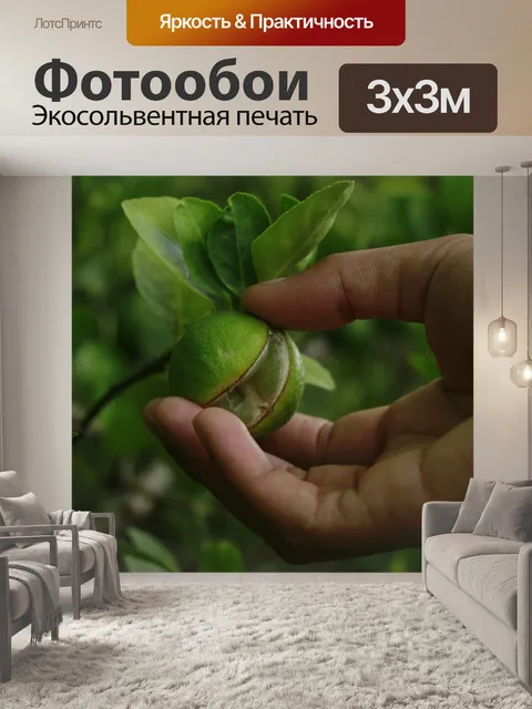 Фотообои Фрукты