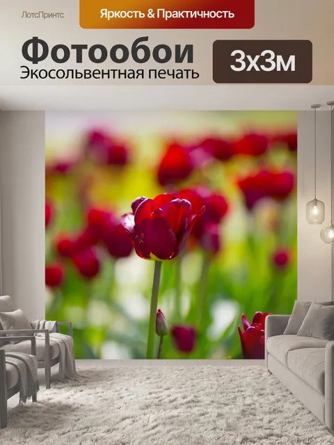 Фотообои Цветы