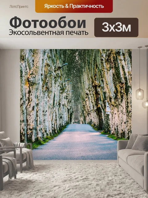 Фотообои Обсаженный деревьями