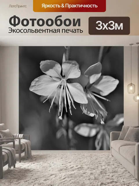 Фотообои Черно-белый
