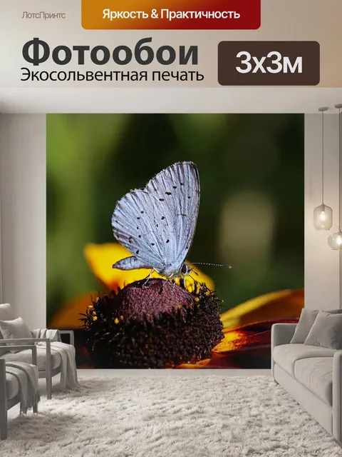 Фотообои Бабочка