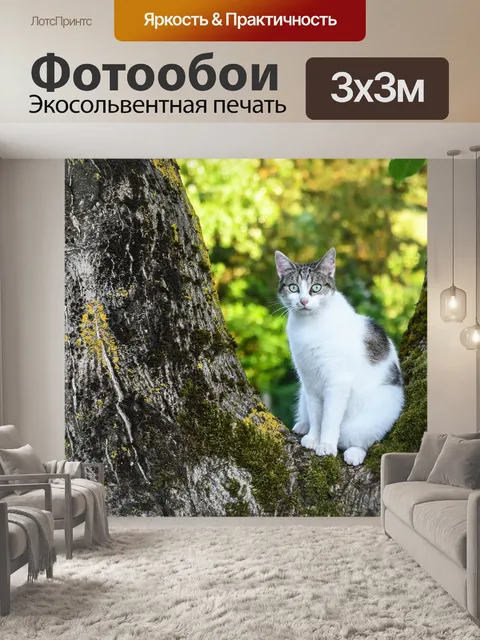 Фотообои Кошка