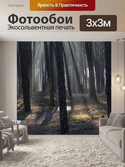 Фотообои Лучи солнца