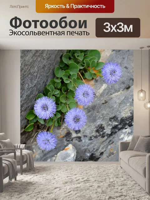 Фотообои Цветы