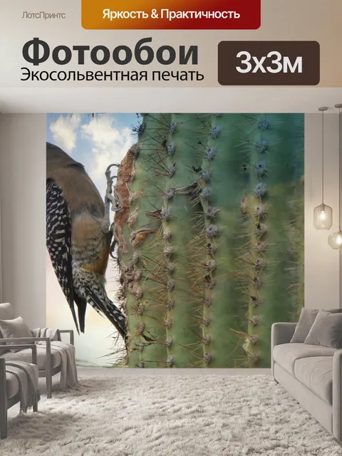 Фотообои Птица на сагуаро кактусе