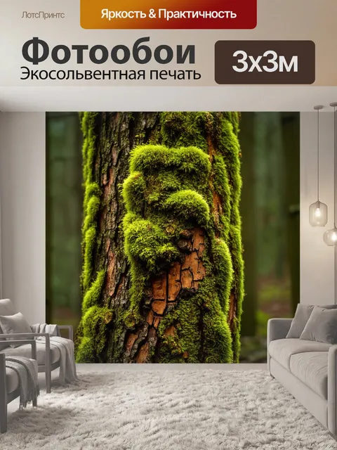 Фотообои интересные фактуры коры деревьев и обилие мха, обвивающего их