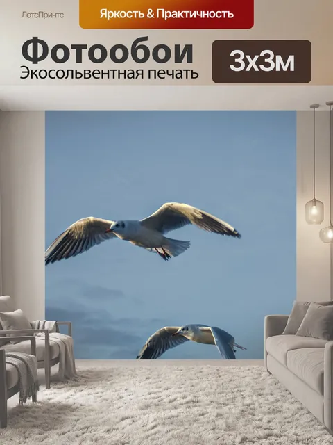 Фотообои Чайки