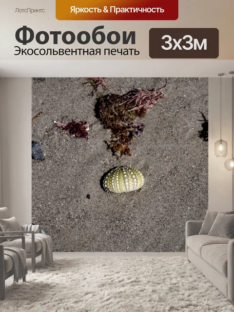 Фотообои Зеленое море Urchin