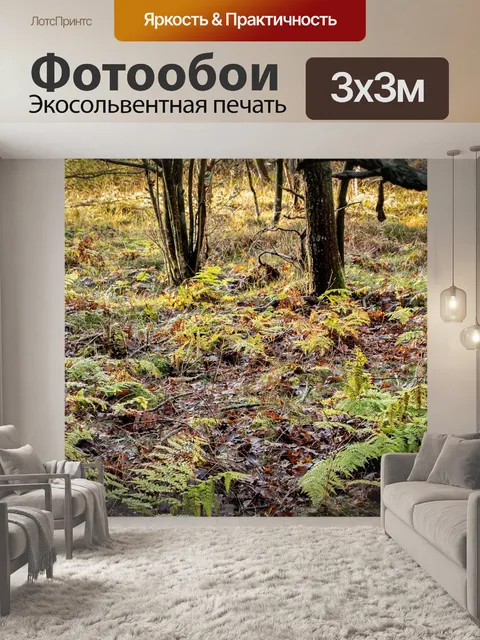 Фотообои Лес