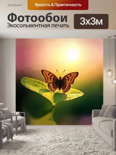 Фотообои маленькая, коричневая бабочка с тонкими узорами на крыльях на маленьком, зеленом листе, освещенная теплым…