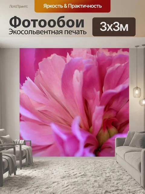 Фотообои Пион