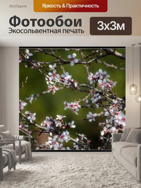 Фотообои Цветы
