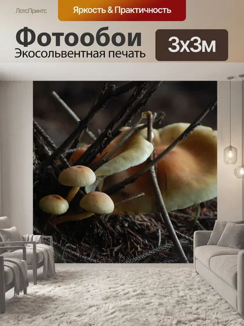Фотообои Грибы