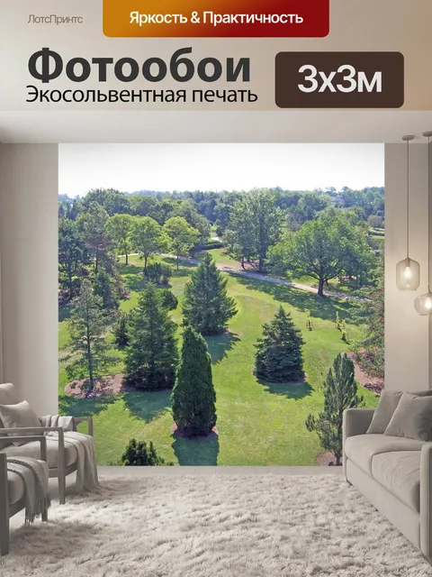 Фотообои Деревья в парке