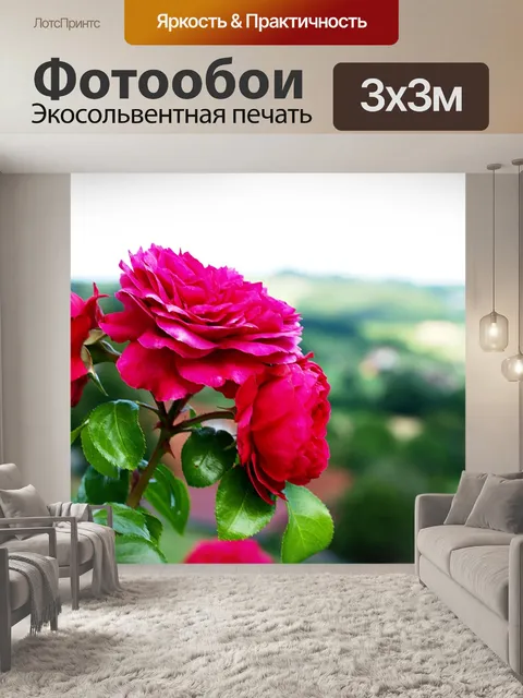 Фотообои Роза