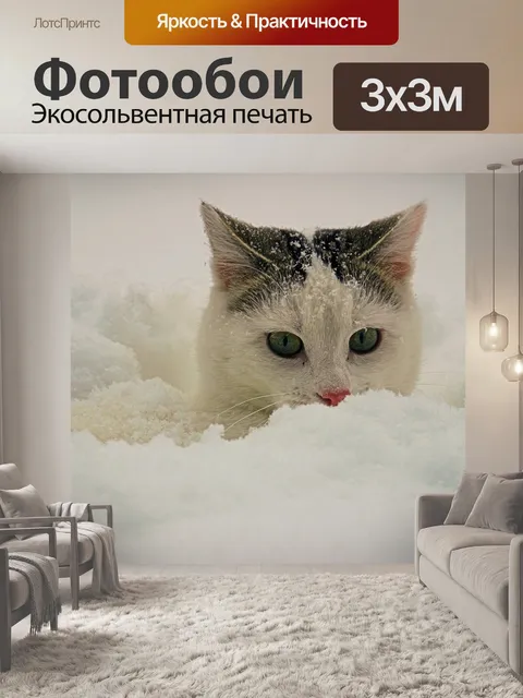 Фотообои Кот