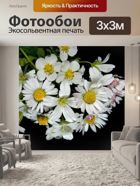 Фотообои Луг