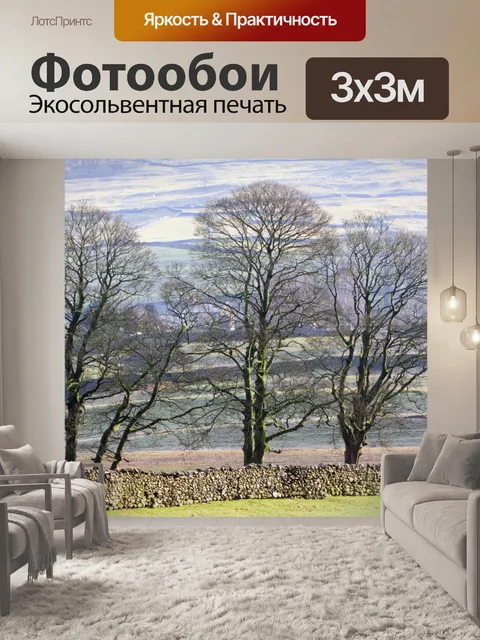 Фотообои Деревья зимой