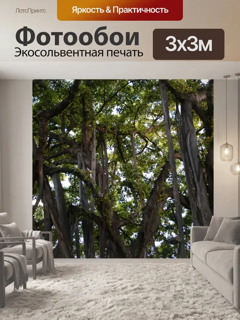 Фотообои Waikiki Forest