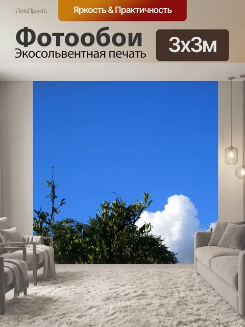Фотообои ясное голубое небо с дерева и облака