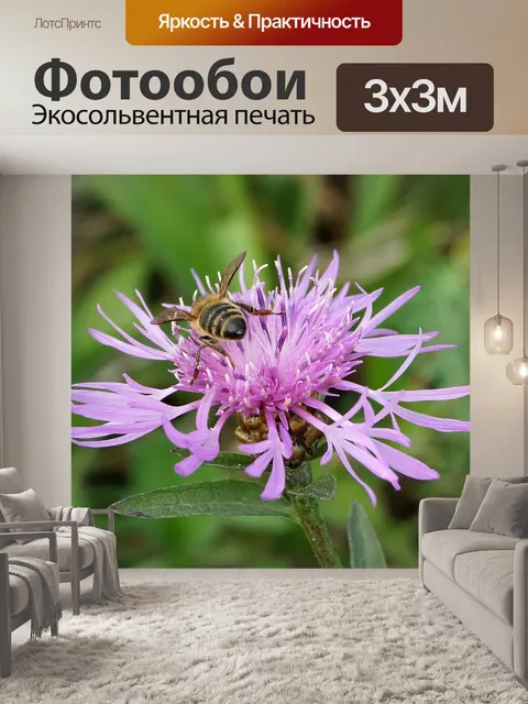Фотообои Цветы