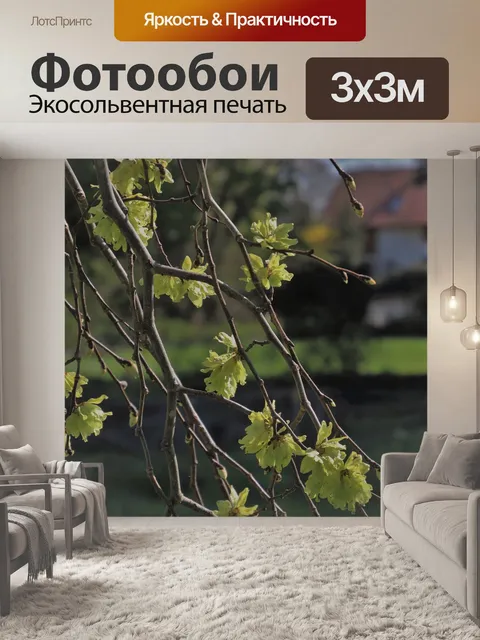 Фотообои Сад