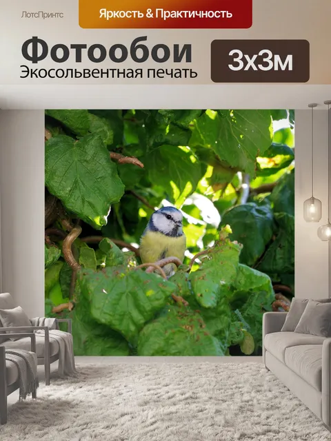 Фотообои Птица