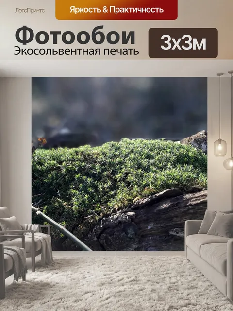 Фотообои Мох