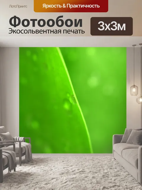 Фотообои Капля воды на листе