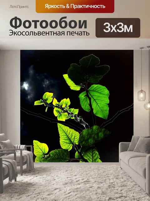 Фотообои Рисовые ветви с цветными кривыми