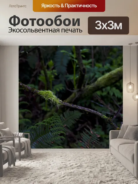 Фотообои Покрытые ветром мошки