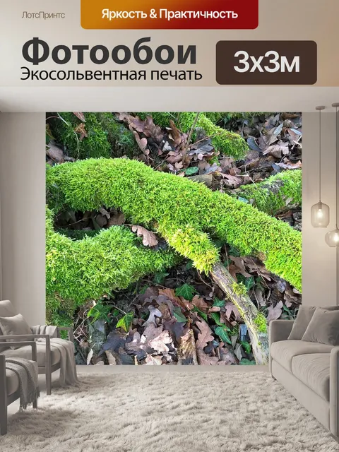 Фотообои Мох