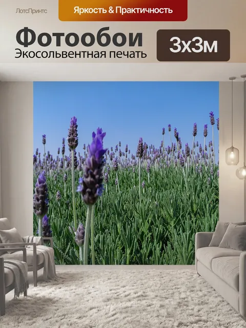 Фотообои Цветы