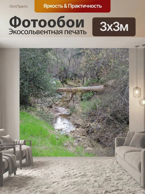 Фотообои Дерево мост