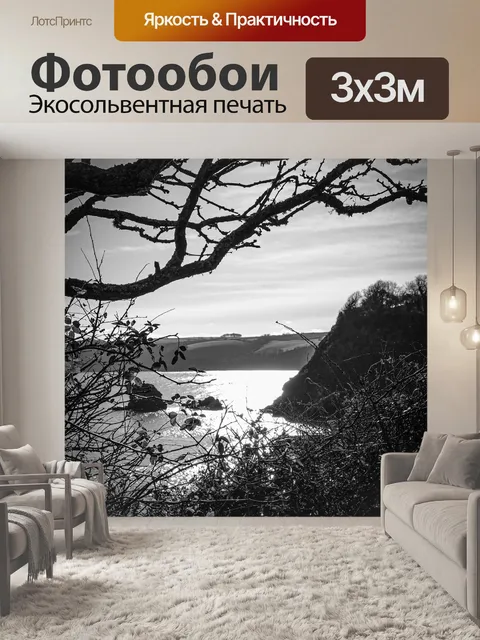 Фотообои Деревья