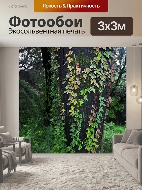 Фотообои Лес 02