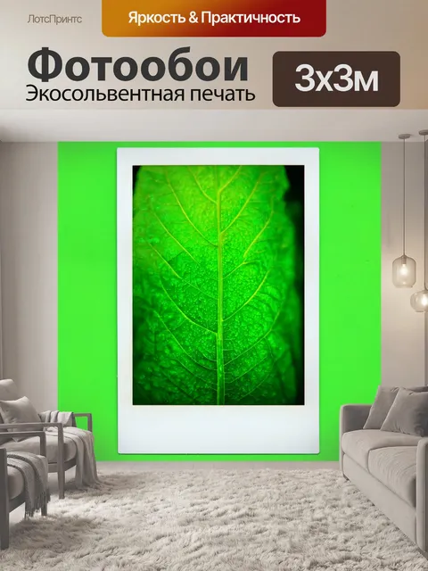 Фотообои зеленые в стиле полароидная фотография