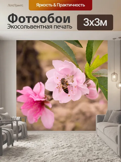 Фотообои Персик