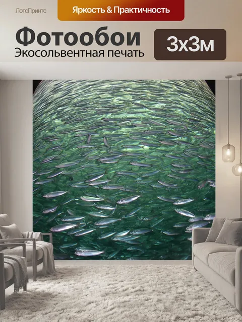 Фотообои Рыбы